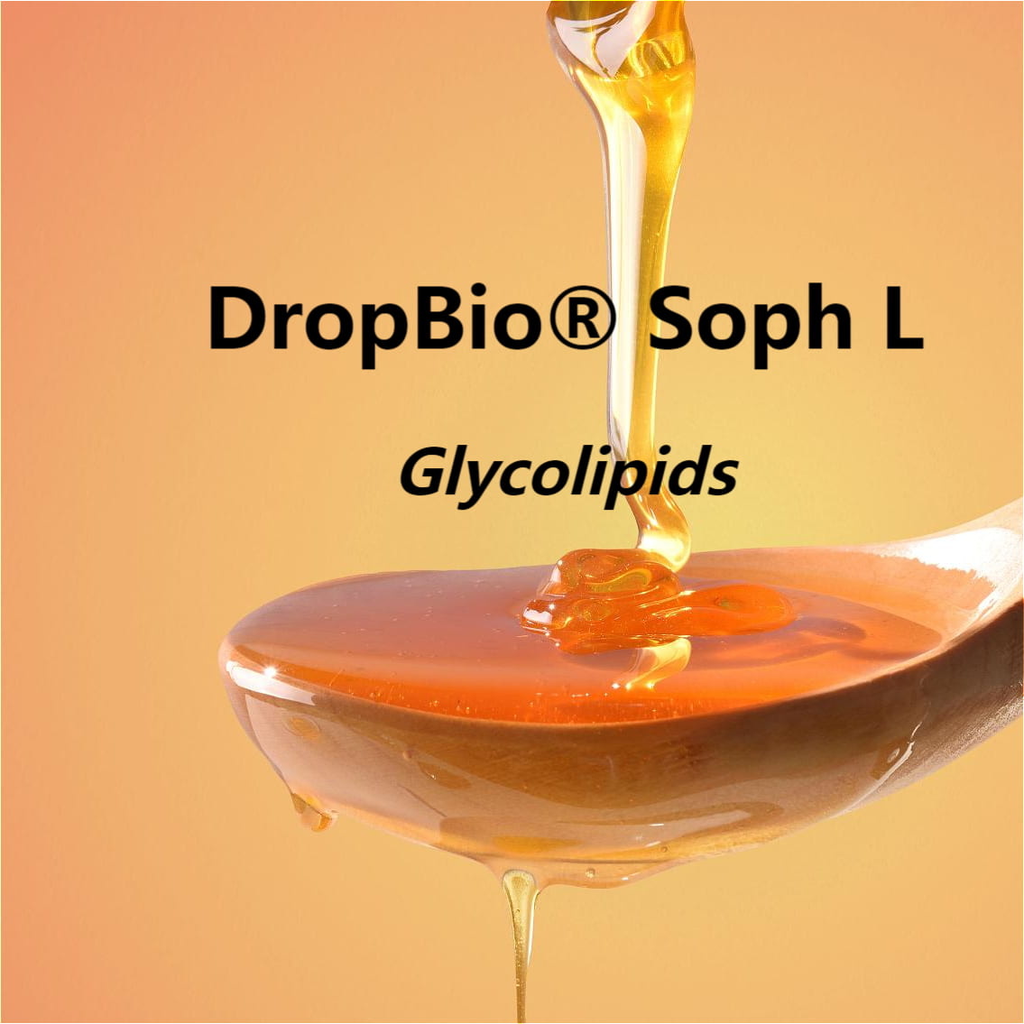 Glycolipids