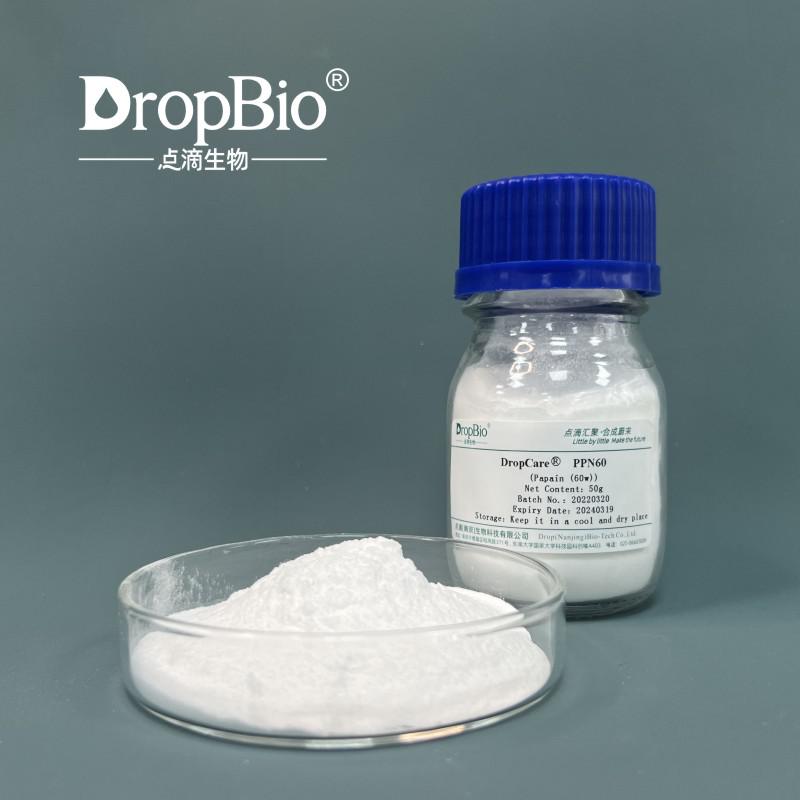 Papain Protease manufacturer